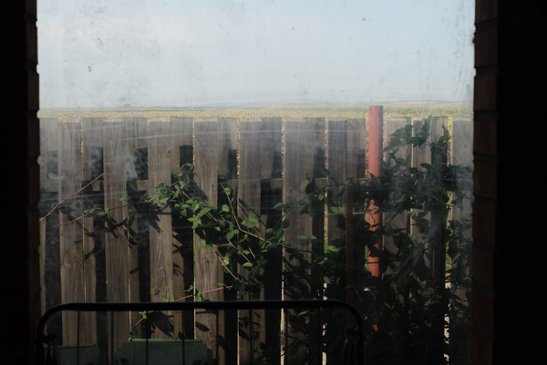 599 :: Country window